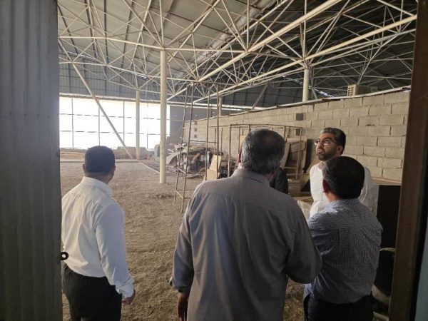 بررسی میدانی جانمایی بازارچه مشترک مرزی در شلمچه