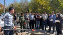 آمادگی شهرداری منطقه یک برای هرس و برف‌تکانی درختان در شش ماه دوم سال