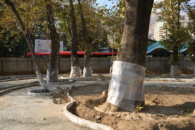 بهسازی میدان تجریش با رویکرد حفظ هویت و صیانت از درختان کهنسال ادامه دارد