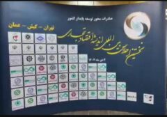 رونمایی از خدمات و کد مارکتینگ بیمه دی ویژه تجار و صادرکنندگان شاهد و ایثارگر