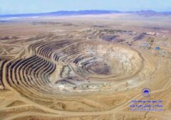 کچاد؛ از ثبات تولید تا پیشتازی فروش