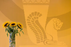 تجلیل از مدال‌آوران المپیادهای علمی ۲۰۲۵ در آیین بیستمین سالروز بانک پاسارگاد