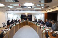 بررسی مسائل گمرکی مناطق آزاد در نشست مشترک دبیر شورای‌عالی و رئیس‌کل گمرک ایران