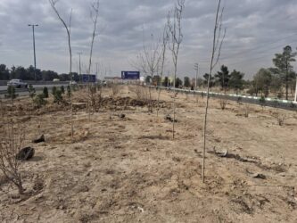 اجرای طرح جنگلکاری در حاشیه بزرگراه تهران–قم با کاشت ۱۵۰۰ اصله درخت