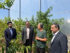 بازدید مدیرعامل از طرح‌های مورد حمایت صندوق کارآفرینی امید در استان مازندران ‌