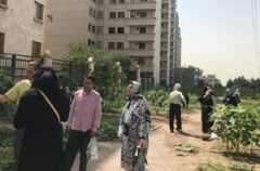 راه‌اندازی مزارع خانوادگی در بوستان گلگشت منطقه ۲