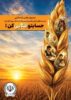 جشنواره طلایی قرعهکشی حسابهای قرضالحسنه پس انداز بانک سپه آغاز شد