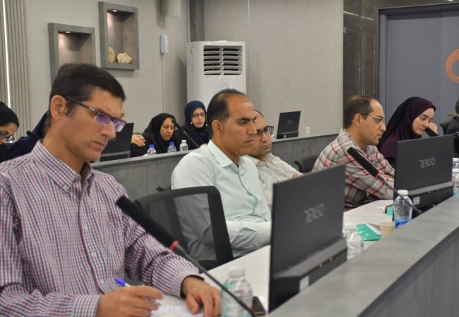 برگزاری کارگاه تخصصی زمین‌شناسی اقتصادی در خراسان رضوی با محوریت کانسارهای فلزی و غیرفلزی