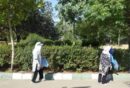 مشارکت بانوان حامی محیطزیست منطقه۲ در پویش پاکسازی بوستان پردیسان/ بوستان پردیسان میزبان بانوان حامی محیط زیست