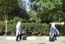 مشارکت بانوان حامی محیط‌زیست منطقه۲ در پویش پاکسازی بوستان پردیسان/ بوستان پردیسان میزبان بانوان حامی محیط زیست