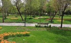 تملک دو باغ طرشت برای تبدیل به بوستان عمومی /دو باغ طرشت به بوستان عمومی تبدیل می‌شود